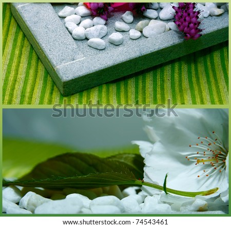 zen green nature collage from white flowers and stones