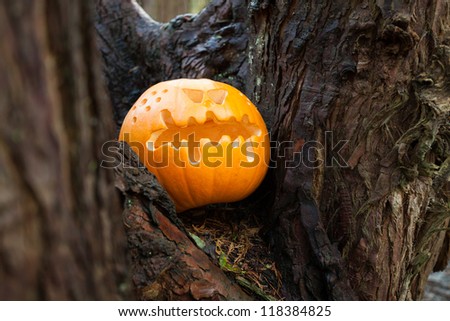 Halloween Pumpkin, Scary Jack O\'Lantern on the pine tree in the forest