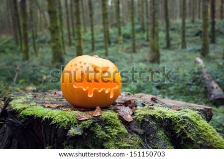 Halloween Pumpkin, Scary Jack O\'Lantern in the pine forest