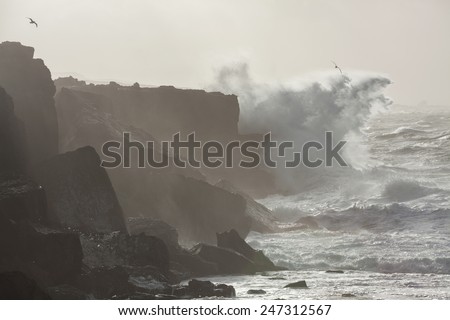 Big waves breaking on cliffs during winter storm on the west coast of Ireland.
