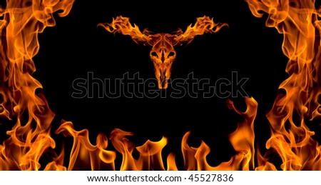 fire flame abstract and animal skull collage isolated on black background