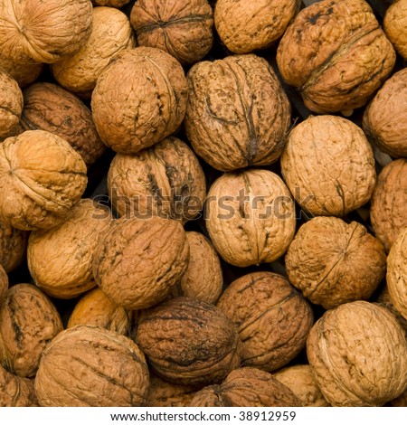 I'll Just Leave This Here... Stock-photo-wallnuts-background-these-nuts-are-known-as-the-common-walnuts-persian-walnuts-or-english-walnuts-38912959