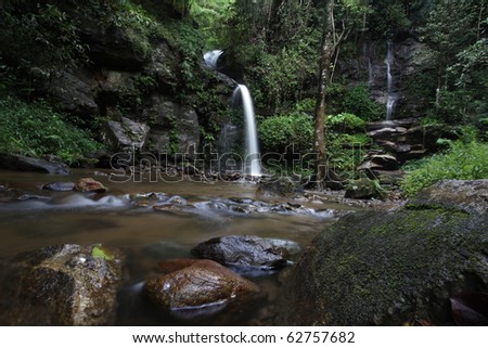 the nature waterfall with tree