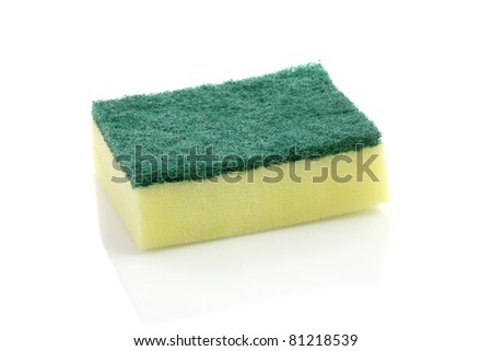 Dishwashing Sponge