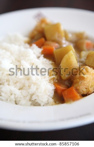Japanese Curry , Beef Curry with Rice