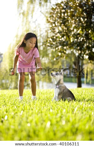 Pretty young Asian girl training Alaskan Klee Kai puppy to sit