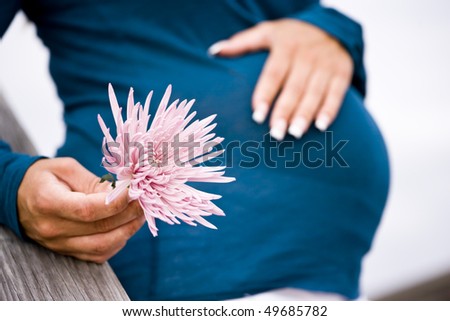 Midsection of pregnant woman holding pink flower, focus on flower