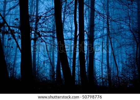 Spooky trees in a black forest