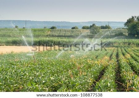 Irrigating a farm field of soy beans
