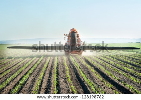 Tractor fertilizes crops corn in spring Tractor fertilizes crops corn in spring