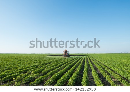 Tractor Spraying Pesticides On Soy Bean