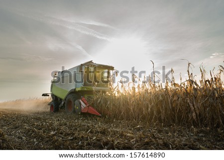 Combine harvesting crop corn grain fields