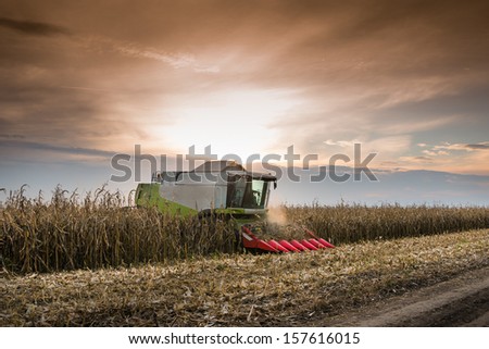 Combine Harvesting Crop Corn Grain Fields