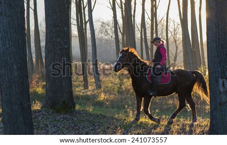 Girl riding a horse on autumn forest