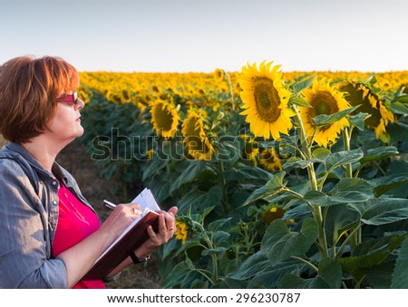Agricultural expert inspecting quality of sunflower