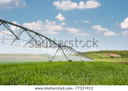 wheat  field and irrigation equipment