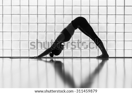 Young woman practicing in a yoga studio. Downward facing dog is the basic yoga pose.