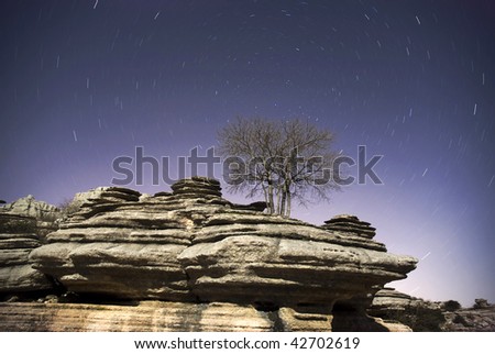 Tree and rocks at night with star trails.Star movement is caused by Earth\'s rotation and camera\'s long exposure.