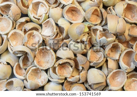 Hazel nuts shells background