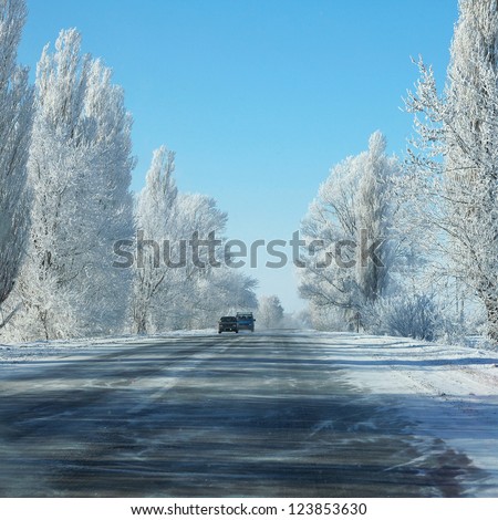 two cars on winter road with white trees