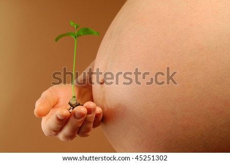 Pregnant Woman And young Tangerine Tree in hand