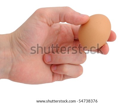 Hand Holding Egg