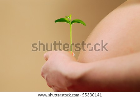 Pregnant woman holding young tangerine tree in hand