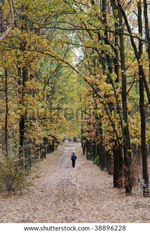 Distant man walking down the autumn forest path