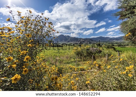 Cachi Adentro Region within Calchaqui Valleys in Salta Province, northern Argentina