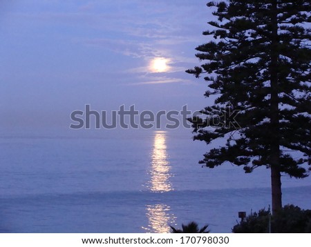 Setting moon over the western sky in southern California with reflection over the beautiful pacific ocean with tree background