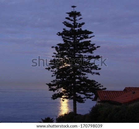 Setting moon over the western sky in southern California with reflection over the beautiful pacific ocean behind tree background