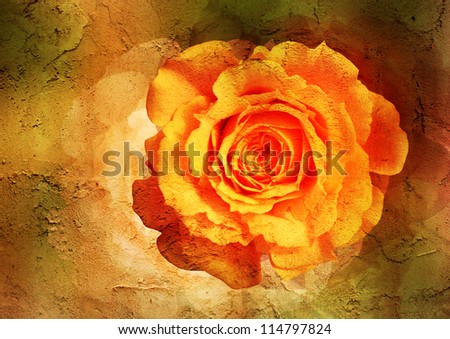 yellow rose - vintage styled picture with patina texture