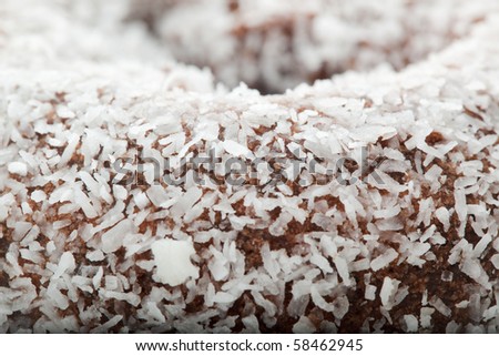 Cocoa Coconut Donut