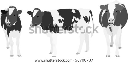 Realistic Cow