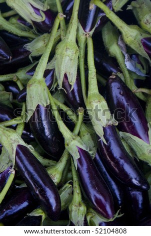 violet egg plants or eggplant with green leaves closeup