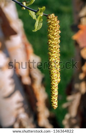 shutterstock.com shutterstock.com