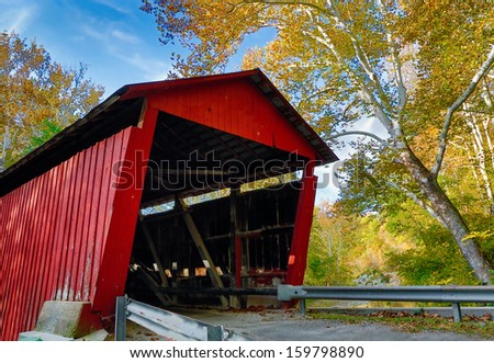 A giant sycamore tree with fall color stands by a vivid red covered bridge. Covered bridge is Rolling Stone Covered Bridge, built in 1915 over Big Walnut Creek near Bainbridge, Indiana.