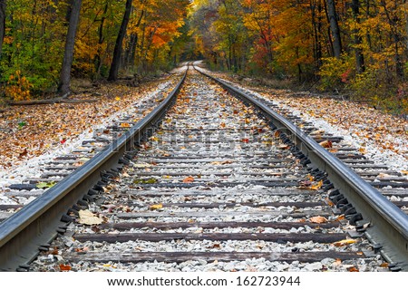 Shiny steel railroad tracks lead the eye trough trees with vivid fall colors.