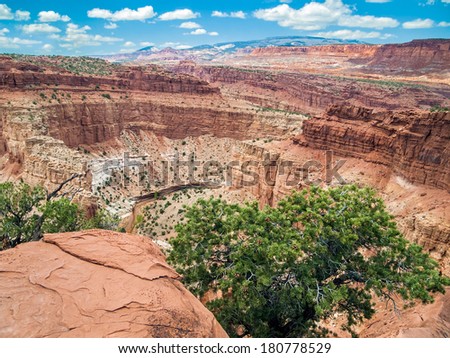 A deep, colorful canyon has been cut by Utah\'s Sulphur Creek as seen at Panorama Point in Capitol Reef National Park.