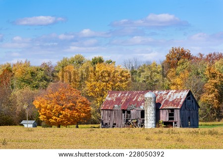 An old barn with silo stands between a soybean field and a colorful autumn wood in Midwestern America.