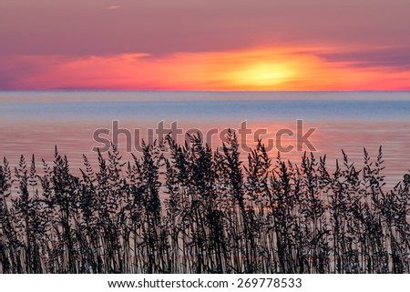 The sun rise over Lake Michigan silhouetting wild grasses on the shore of Door County, Wisconsin\'s Cana Island.