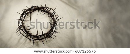 A crown made of real thorns is set to the left on a textured, shadowy white fabric background. Great for Easter, Palm Sunday, or anytime!