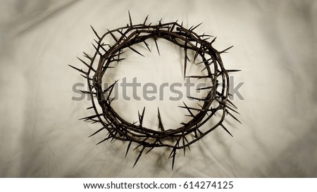 A crown made of real thorns is centered on a textured, shadowy white fabric background. Great for Easter, Palm Sunday, or anytime!