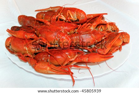 River crayfish on a white plate