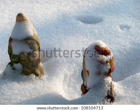 Garden gnome A garden gnome, forgotten in the snow