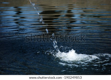 Water vortex A water jet creates a water vortex.
