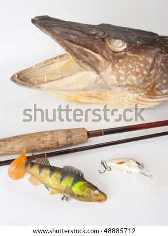 Fishing trophy with metallic lures and spinning