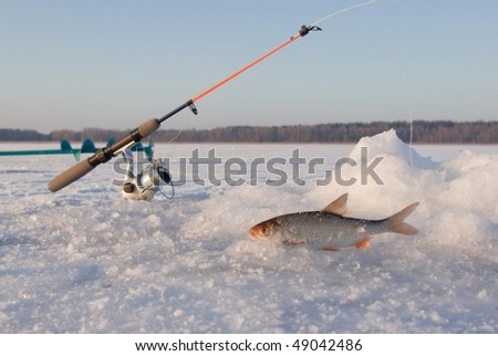 Ice fishing rod and hole with fish trophy