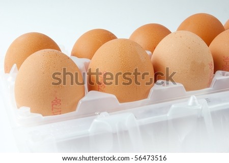 egg in plastic case
