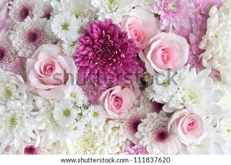 Pink and white roses and daisies as a background